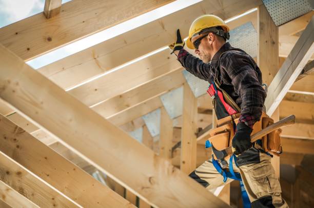 Best Roof Gutter Cleaning  in Meraux, LA