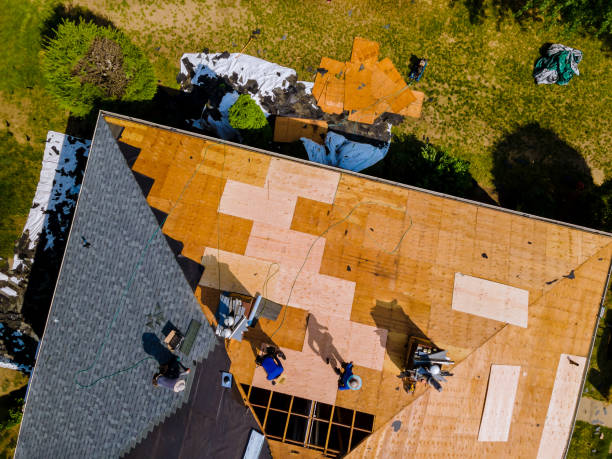 Best Storm Damage Roof Repair  in Meraux, LA