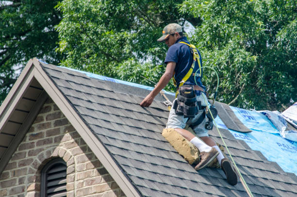 Best Metal Roofing Contractor  in Meraux, LA